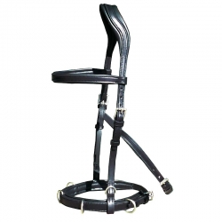 Marjoman Oslo Straightness Training / Lunge Cavesson